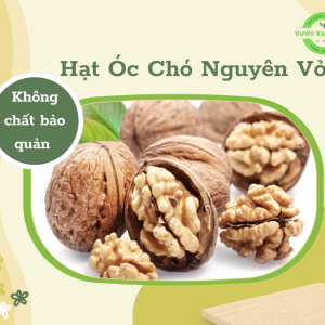 Hạt Óc Chó Nguyên Vỏ 500gr - Vườn Xanh Nutri