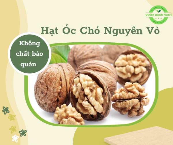 Hạt Óc Chó Nguyên Vỏ 500gr - Vườn Xanh Nutri