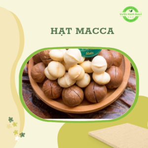 500g Hạt Macca Nông Sản Sạch Vườn Xanh Nutri